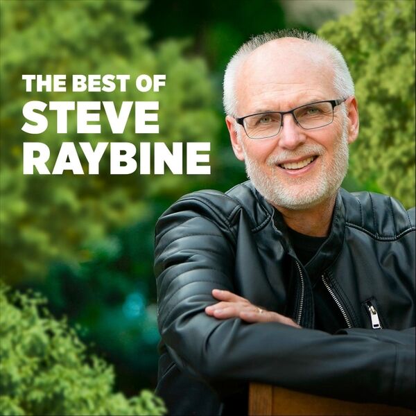 Cover art for The Best of Steve Raybine